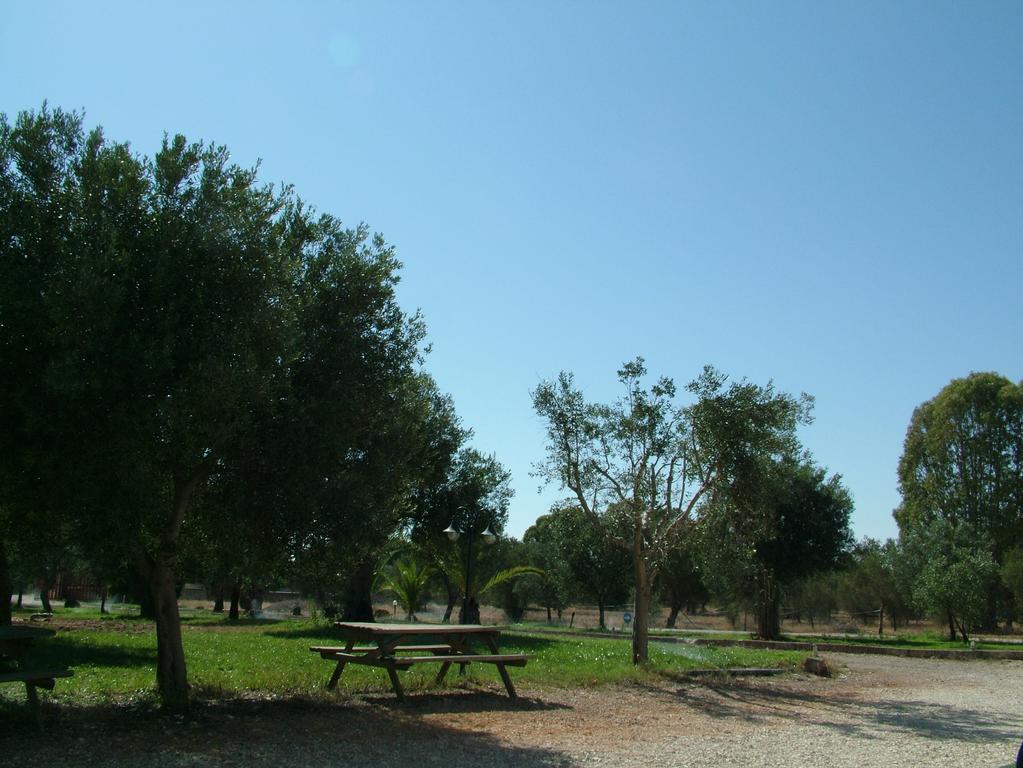 Agriturismo "Terra D'Ulivi" Villa Porto Cesareo Cameră foto