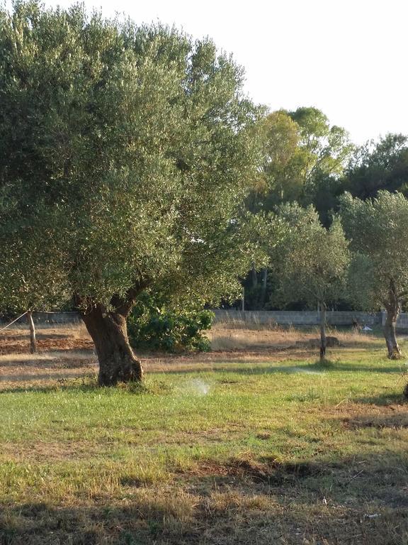 Agriturismo "Terra D'Ulivi" Porto Cesareo Exterior foto