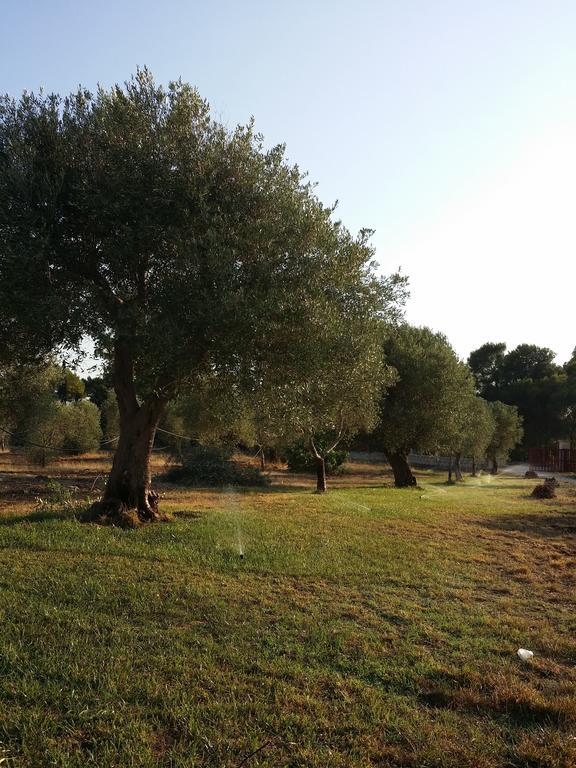 Agriturismo "Terra D'Ulivi" Porto Cesareo Cameră foto